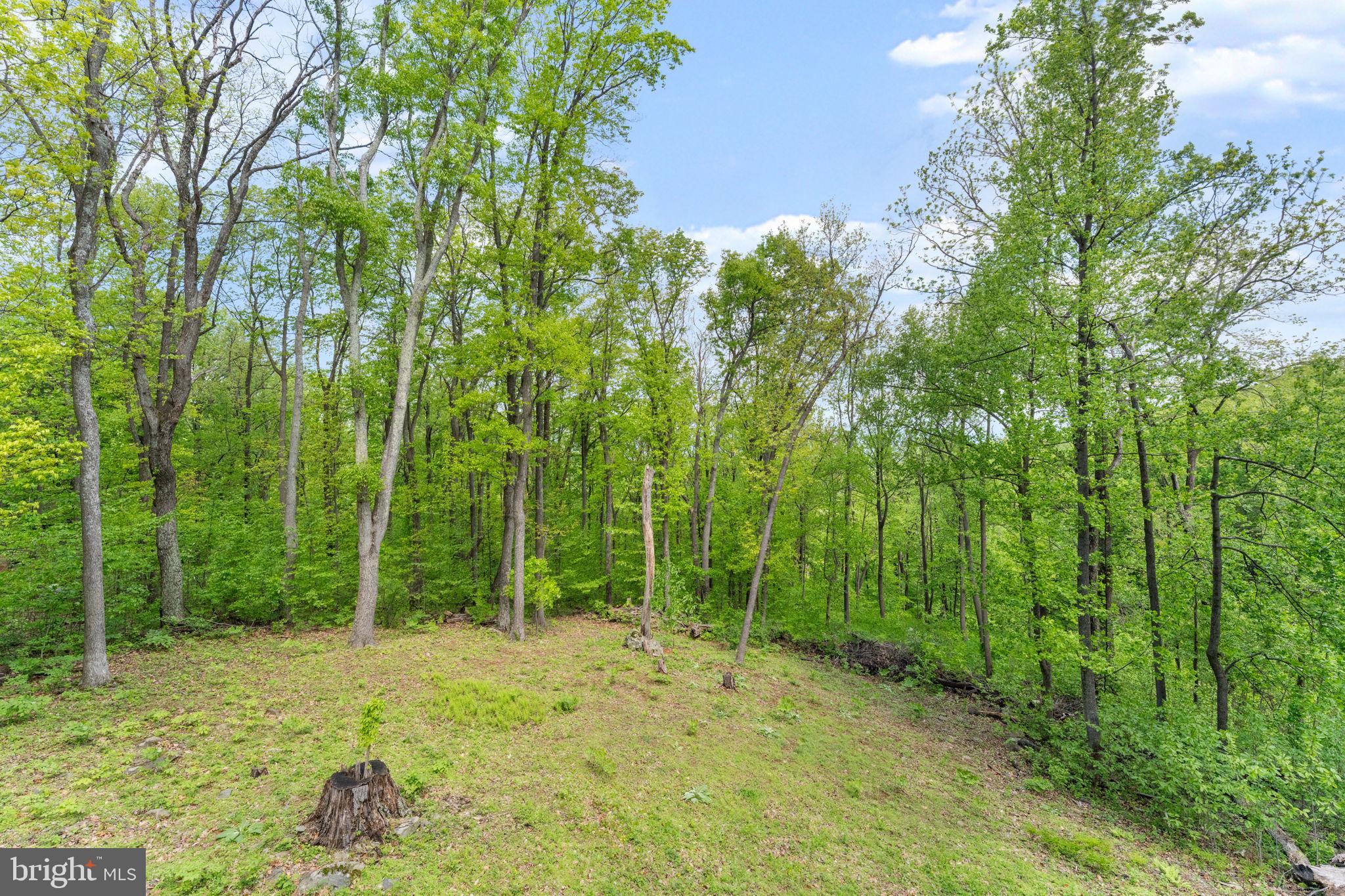 293 Old Sawmill Road Front Royal, VA 22630 - Photo 44 of 68