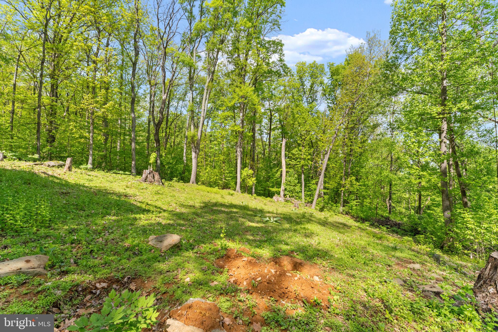 293 Old Sawmill Road Front Royal, VA 22630 - Photo 46 of 68 a large yard with lots of green space and house in the back
