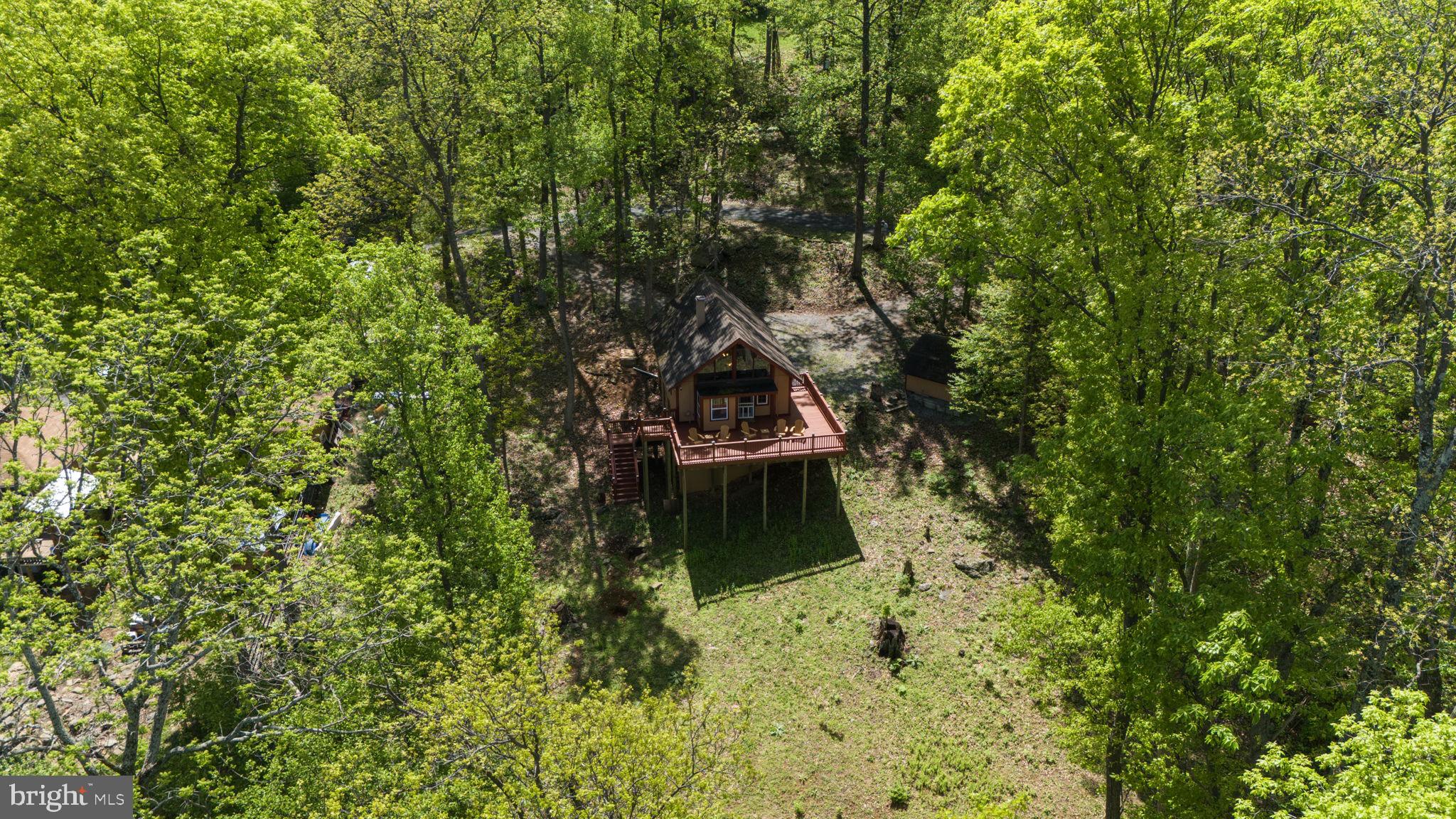 293 Old Sawmill Road Front Royal, VA 22630 - Photo 5 of 68 a backyard of a house with a tree
