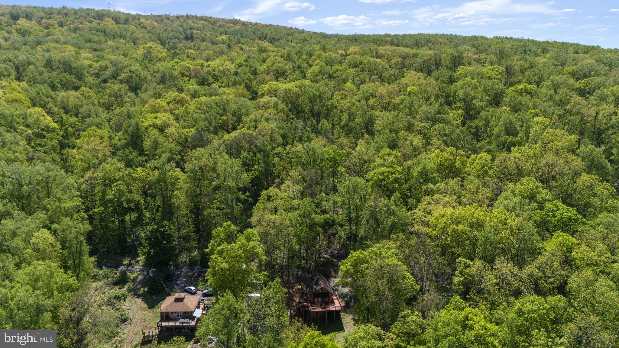 293 Old Sawmill Road Front Royal, VA 22630 - Photo 8 of 68