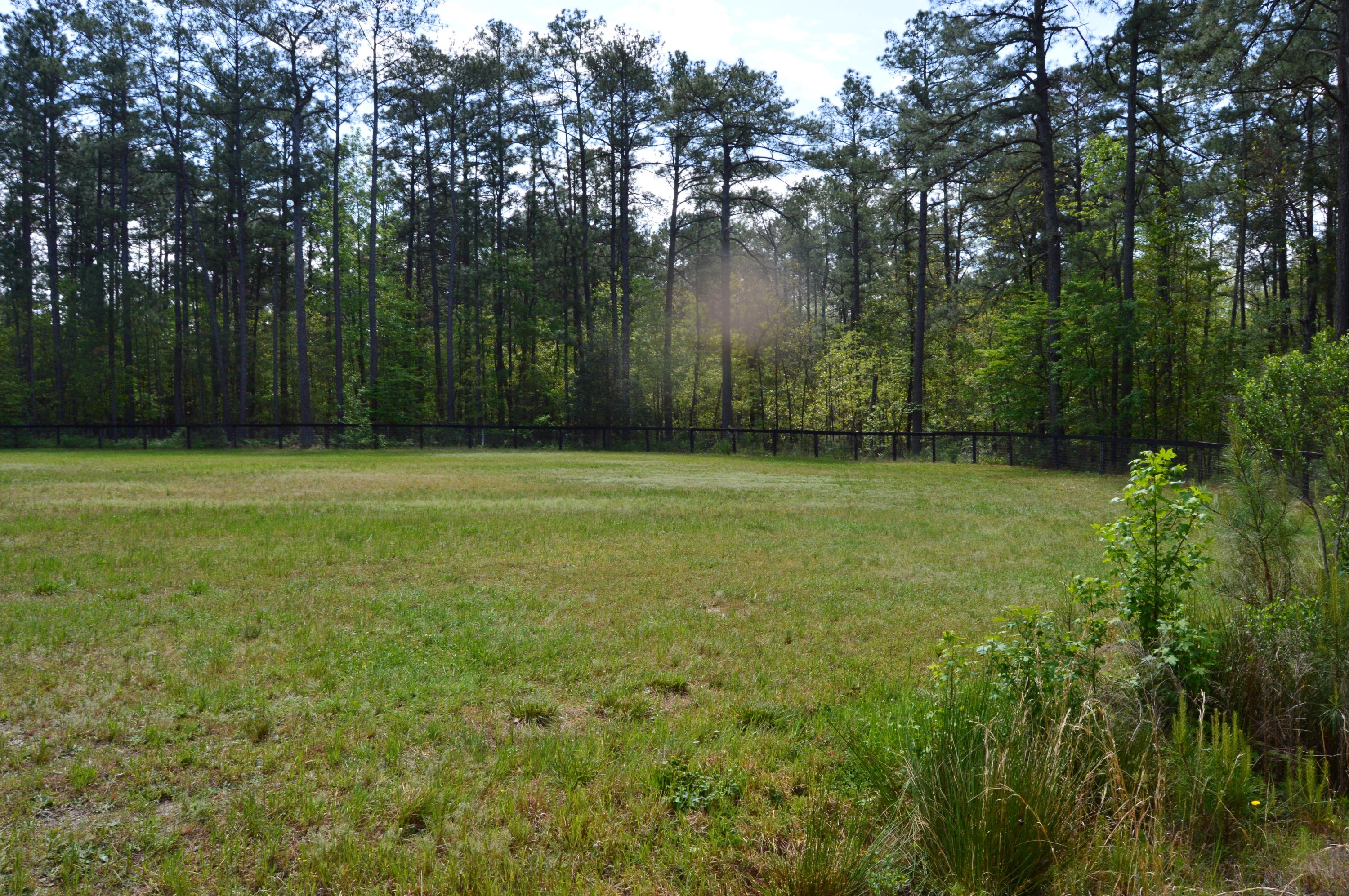 3563 Lakebay Road Vass, NC 28394 - Photo 3 of 6 DSC_0151