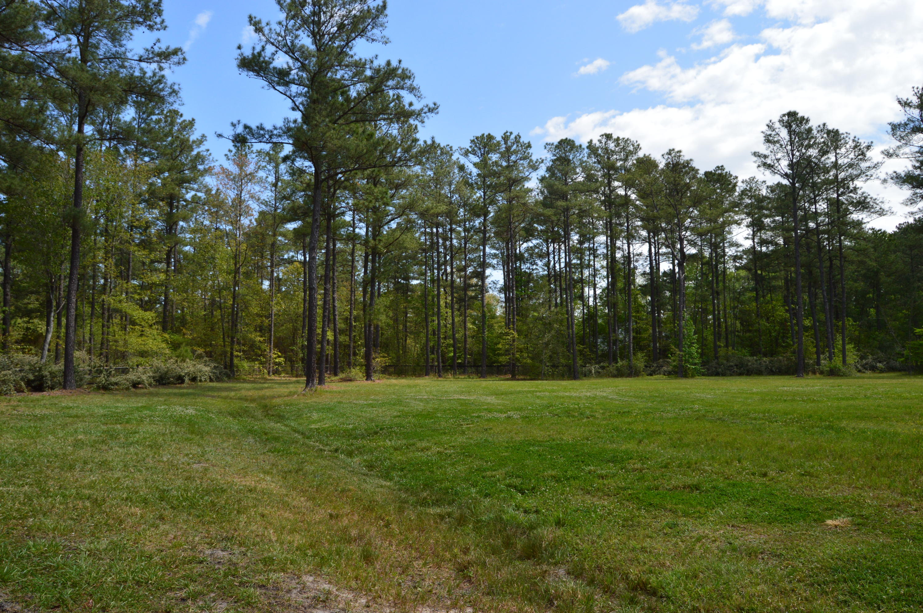 3563 Lakebay Road Vass, NC 28394 - Photo 4 of 6 DSC_0152
