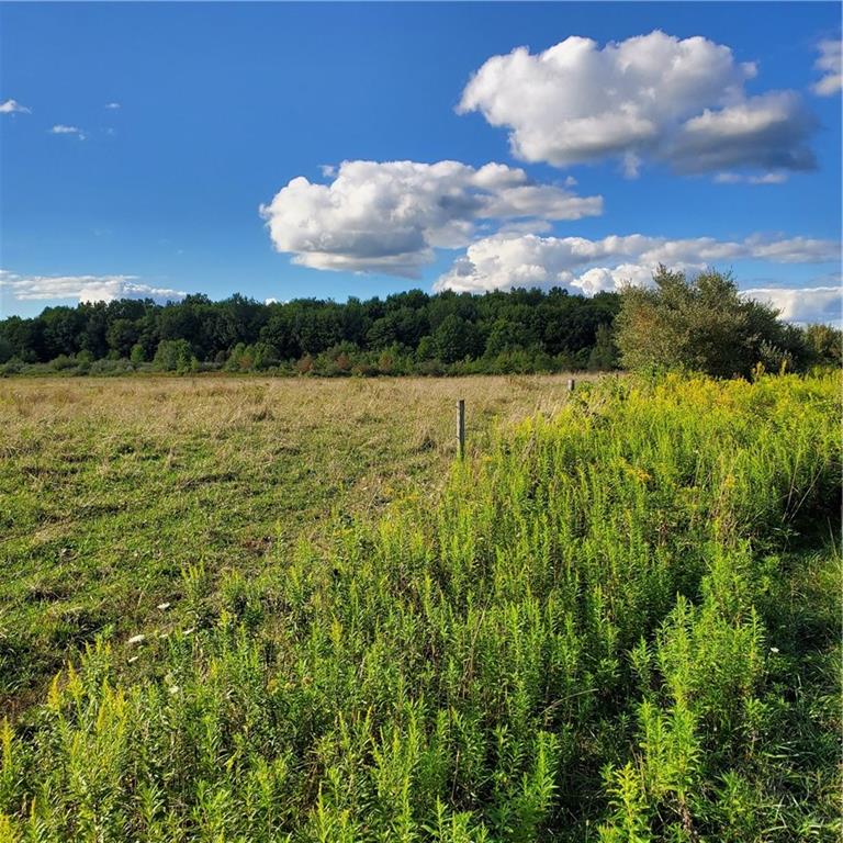 0 Jackson Center Polk Road Stoneboro, PA 16133 - Photo 15 of 24 Gallery Image 15