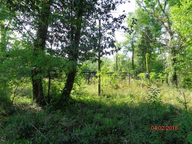 10155 Choctaw Road Bogalusa, LA 70427 - Photo 3 of 8 Gallery Image 3