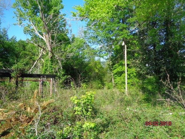 10155 Choctaw Road Bogalusa, LA 70427 - Photo 5 of 8 Gallery Image 5