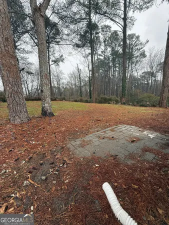 a view of a yard with trees