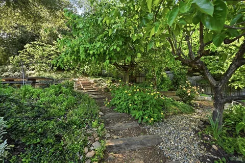 a backyard of a house with lots of green space