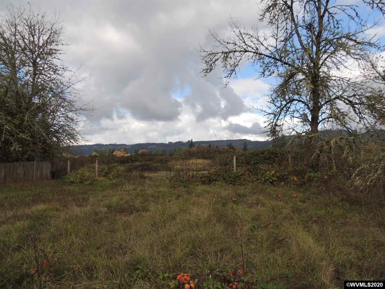 Long Street Sweet Home, OR 97386 - Photo 13 of 21