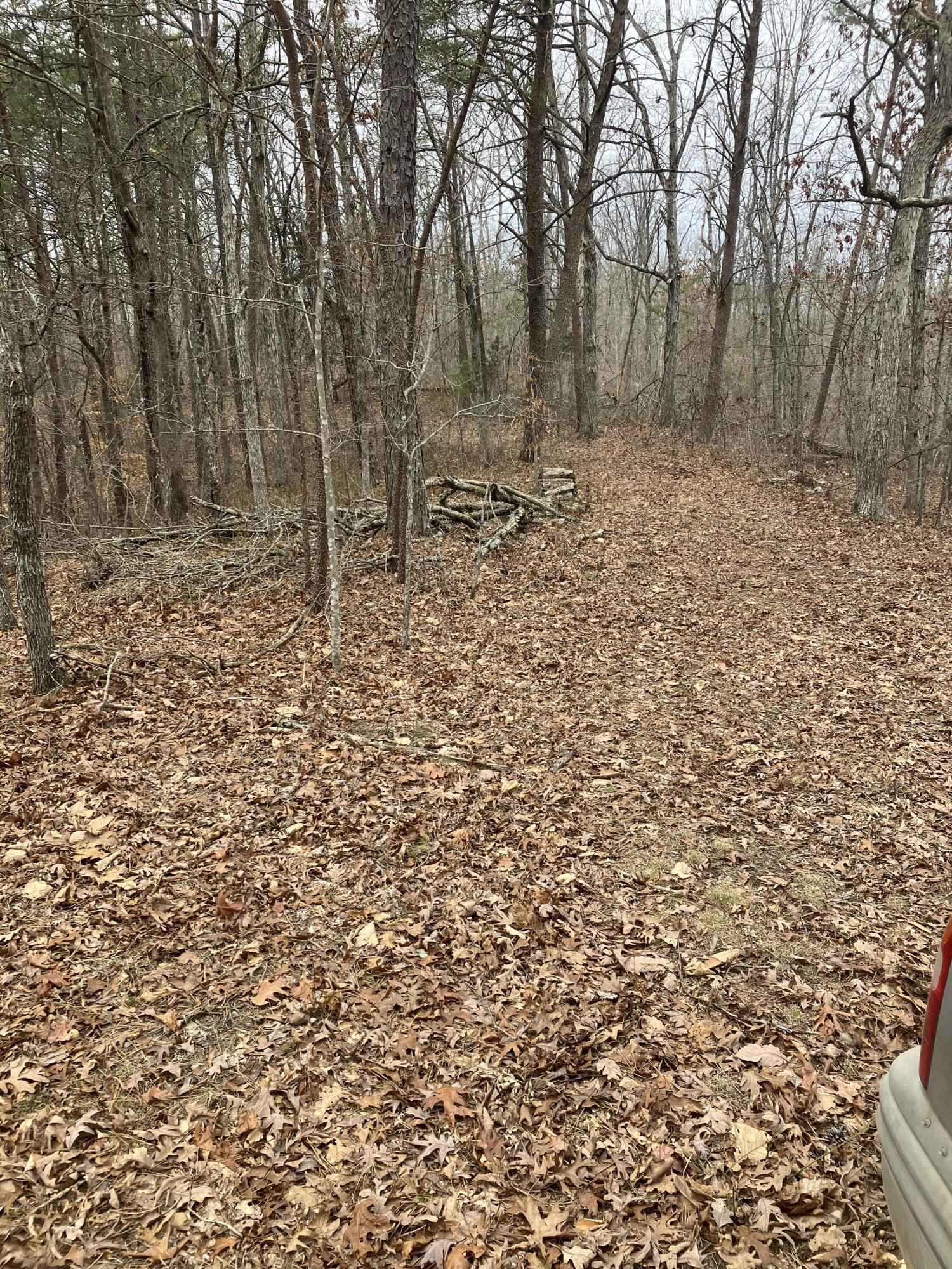 700 Butler Road Owingsville, KY 40360 - Photo 15 of 18 D3C38A0F-E961-4CDC-986F-377CA7499D9D