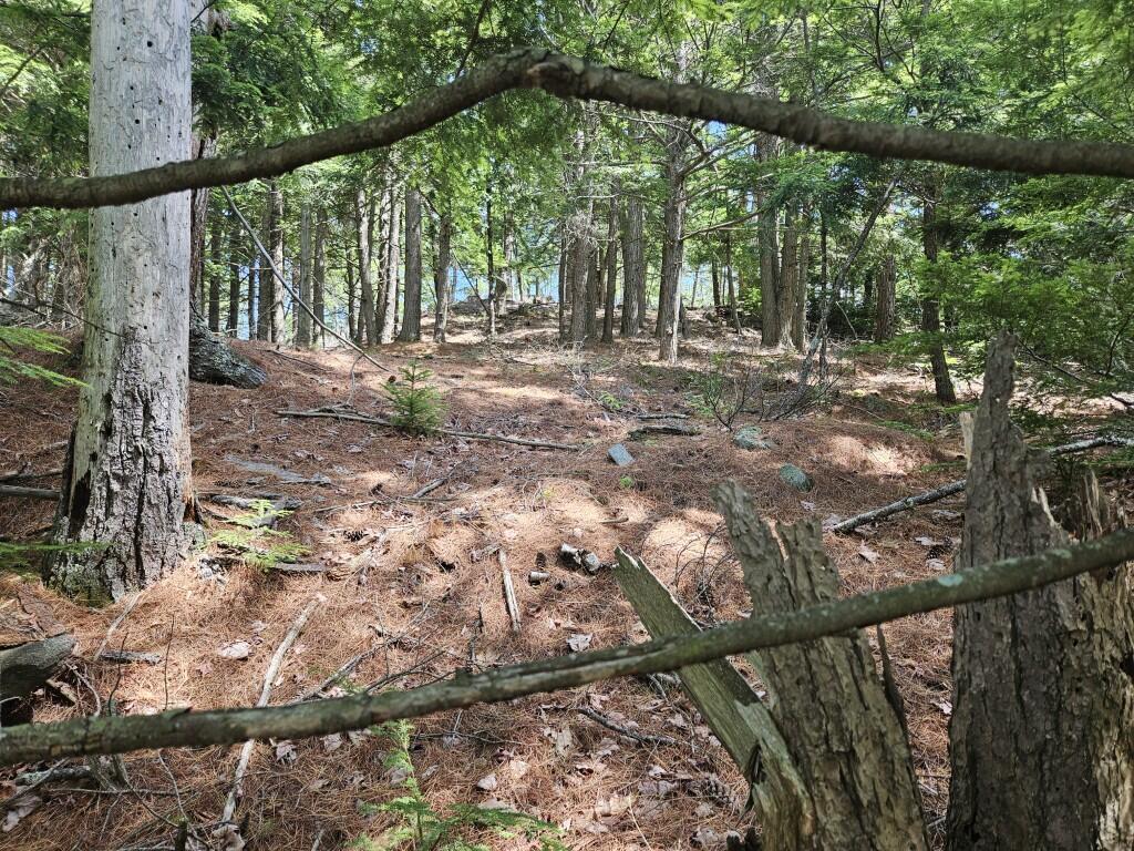 Multiple Quaker Ridge Road Leeds, ME 04263 - Photo 18 of 79 20260624_134723