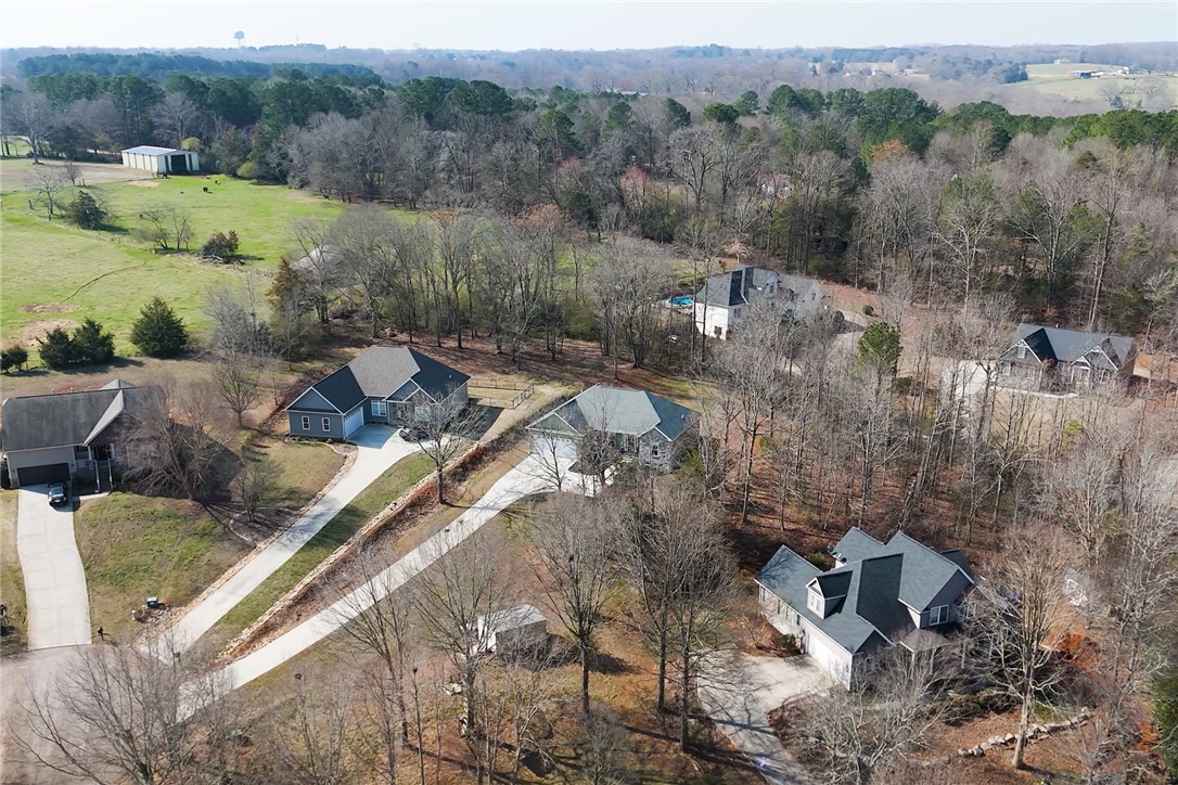 508 Ivy Spring Court Seneca, SC 29678 - Photo 40 of 46