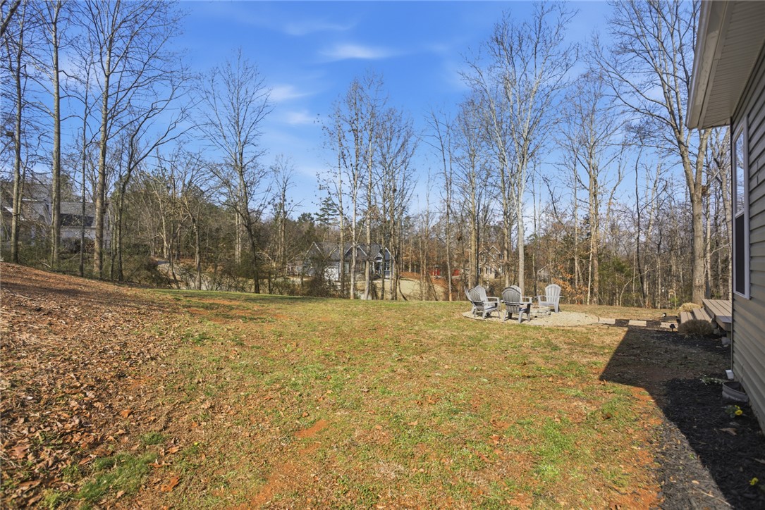 508 Ivy Spring Court Seneca, SC 29678 - Photo 44 of 46