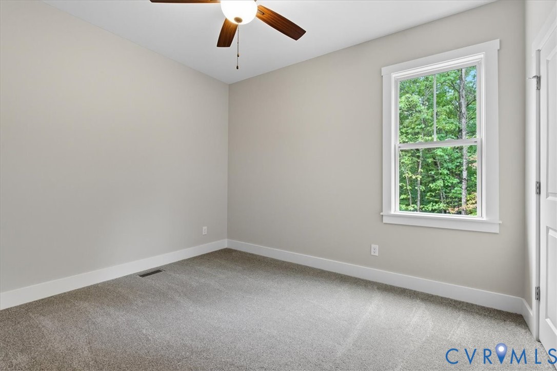1646 Jerusalem Church Road Buckingham, VA 23921 - Photo 27 of 42