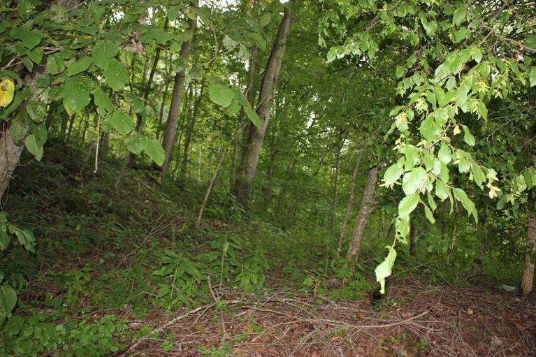 4515 Cannonball Road Somerset, KY 42501 - Photo 34 of 51 Additional Photo