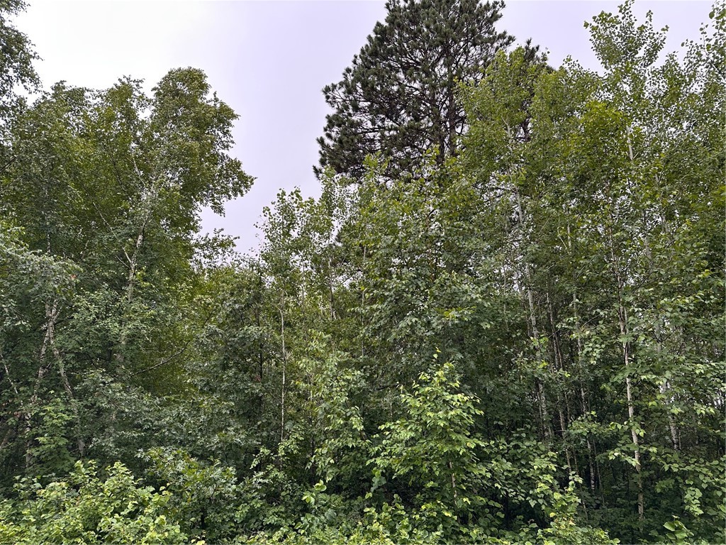 0 Dana Road Solon Springs, WI 54873 - Photo 5 of 14
