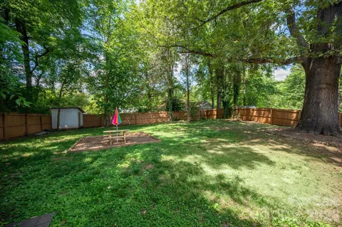 a view of a yard with a large tree