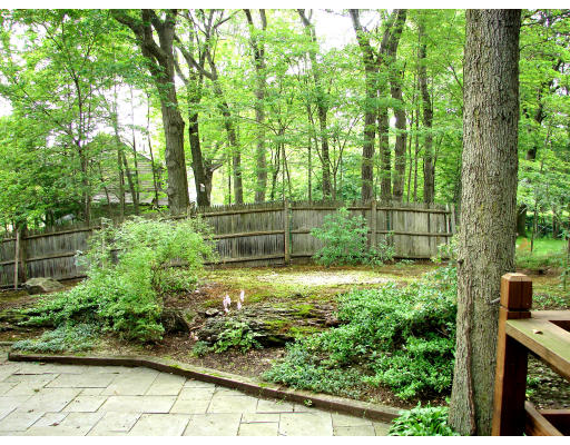 11 Tamarac Road Newton, MA 02464 - Photo 8 of 9 a view of garden with a large trees