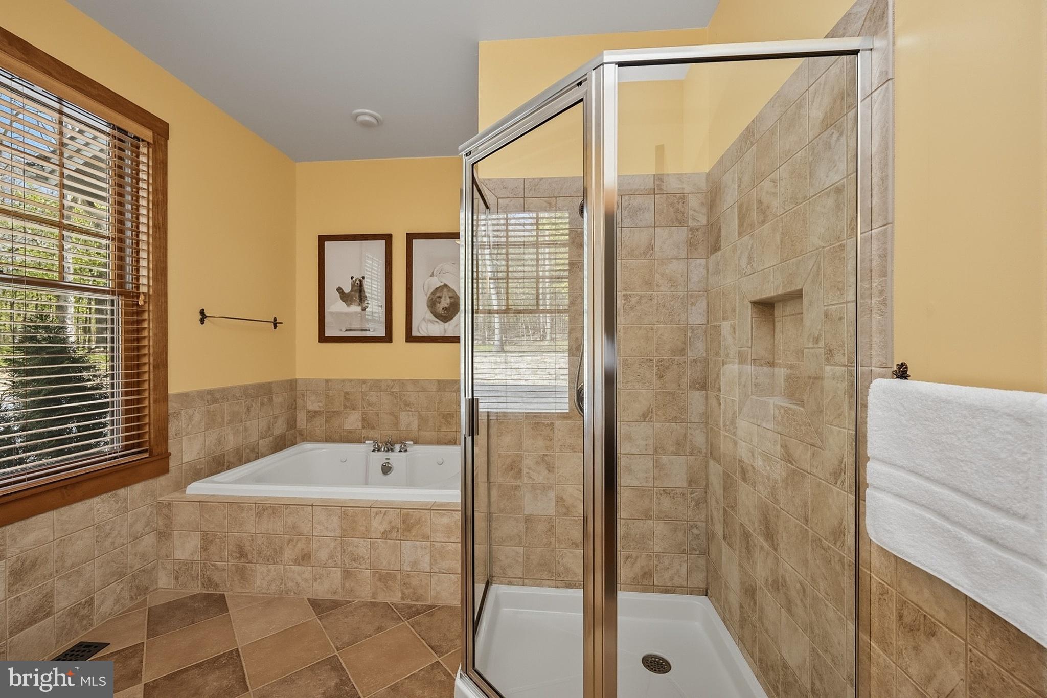185 Ruta Lane Swanton, MD 21561 - Photo 33 of 81 a bathroom with a shower and a bathtub