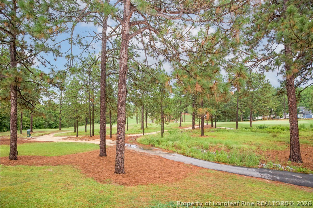 287 Knoll Road Southern Pines, NC 28387 - Photo 50 of 50