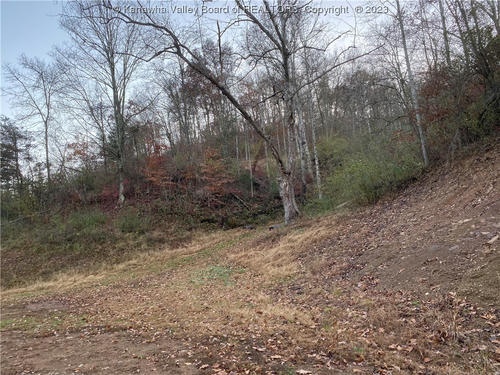 0 Sowards Road Milton, WV 25541 - Photo 3 of 5 Gallery Image 3