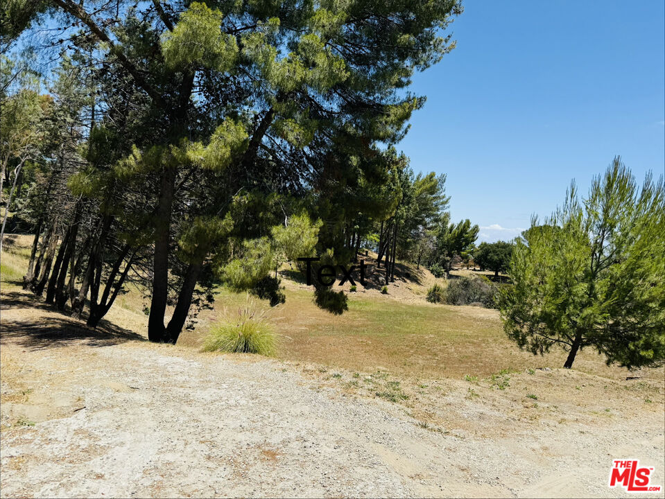22030 Saddle Peak Road Topanga, CA 90290 - Photo 3 of 4