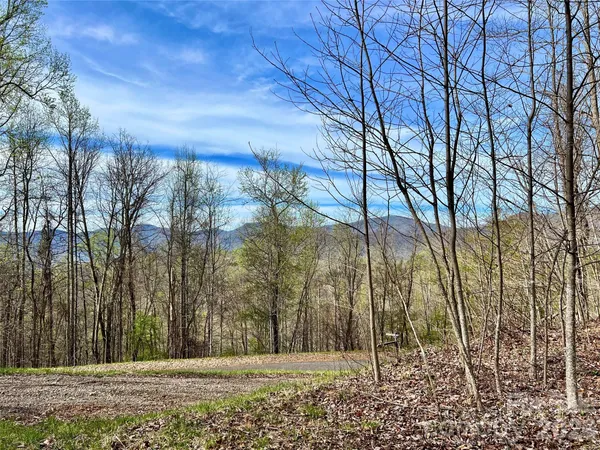a view of mountain view with lots of trees