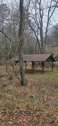 a view of bench in middle of forest