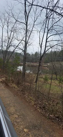 a view of a yard with plants and trees