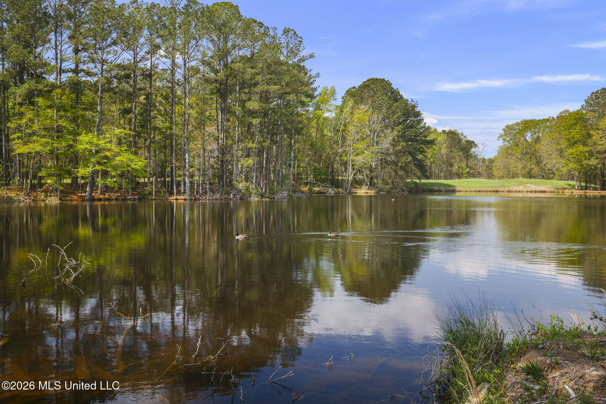 3079 Shiloh Road Pelahatchie, MS 39145 - Photo 56 of 81 56-web-or-mls-3079 Shiloh-56