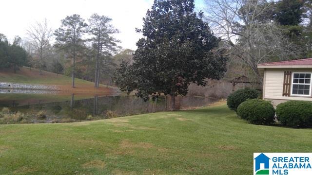975 Cook Springs Road Odenville, AL 35120 - Photo 23 of 28