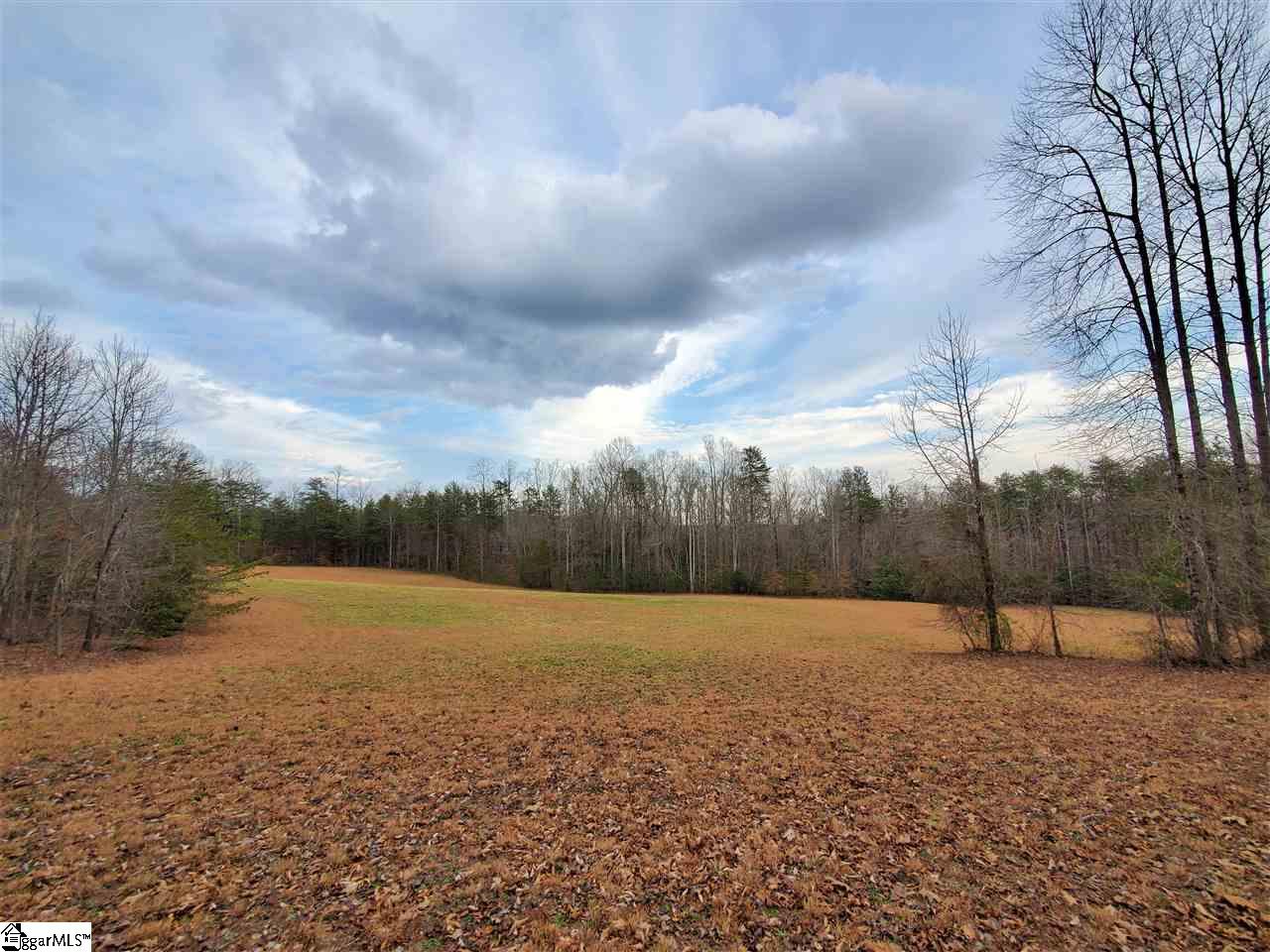 834 Belue Mill Road Landrum, SC 29356 - Photo 22 of 30