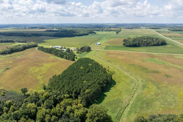 $699,900 | 39321 141st Avenue, Montgomery, MN 56069