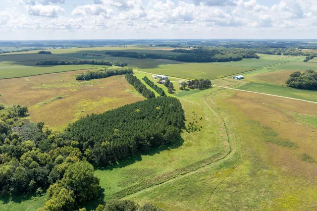 $699,900 | 39321 141st Avenue, Montgomery, MN 56069