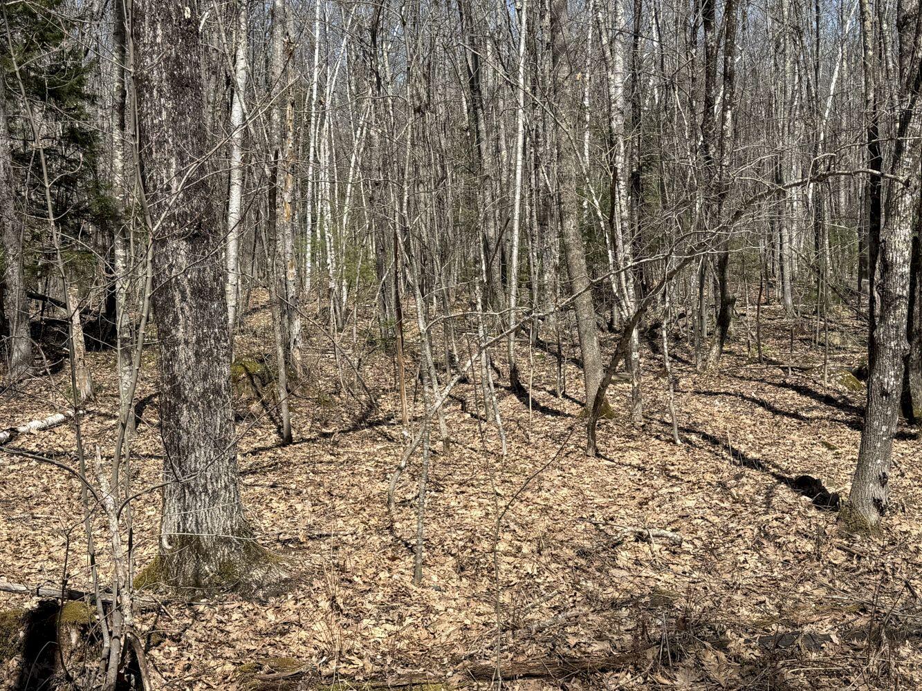 M14-l39 Sandy Point Road Vassalboro, ME 04989 - Photo 5 of 6