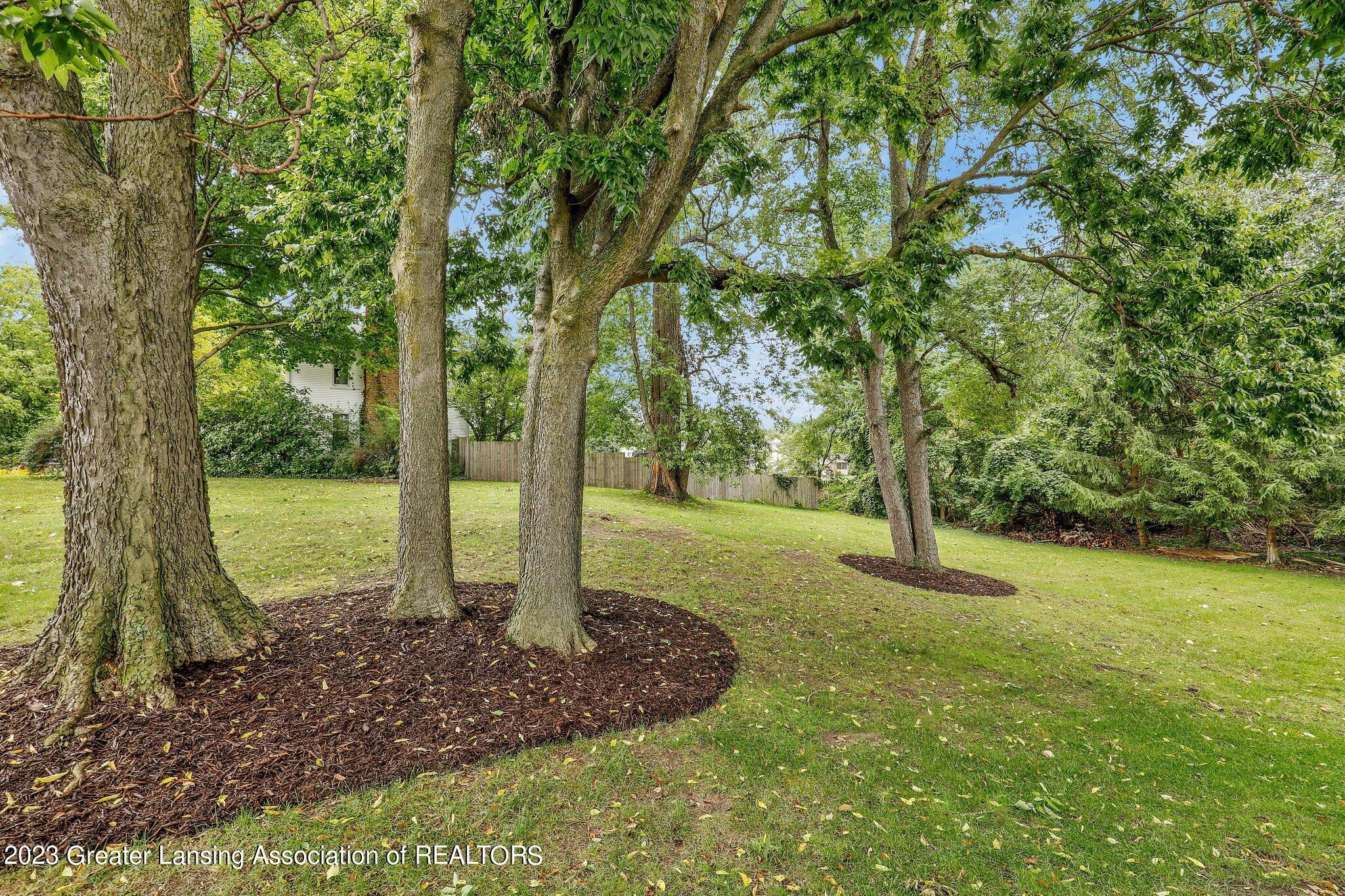 5975 Horstmeyer Road Lansing, MI 48911 - Photo 39 of 43 north side of yard