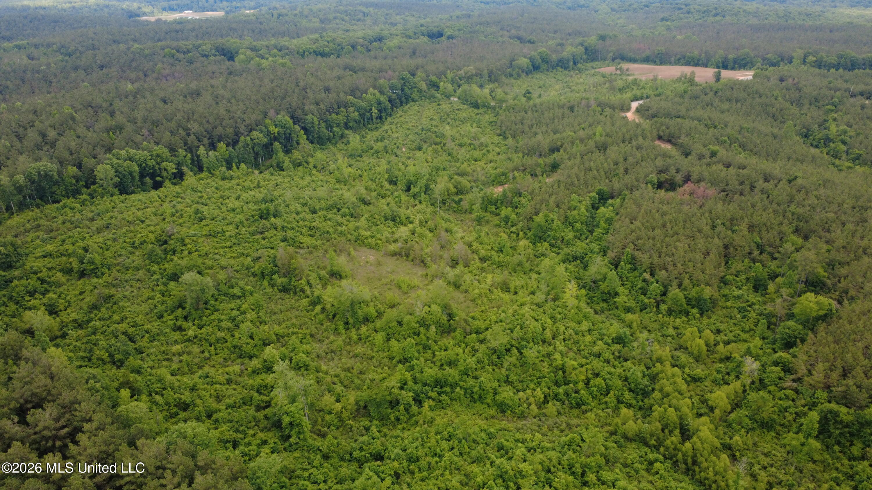 1 Gums Crossing Road Coffeeville, MS 38922 - Photo 23 of 36 DJI_0340