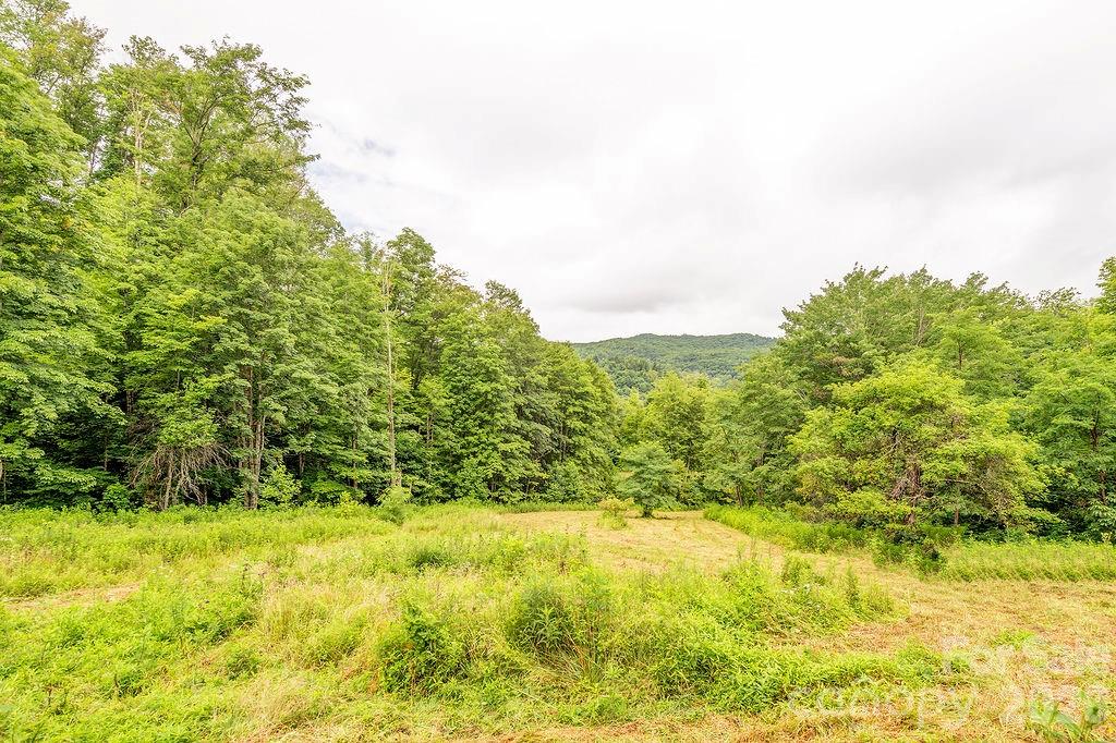 8485 Meadow Fork Road Hot Springs, NC 28743 - Photo 35 of 36 Gallery Image 35