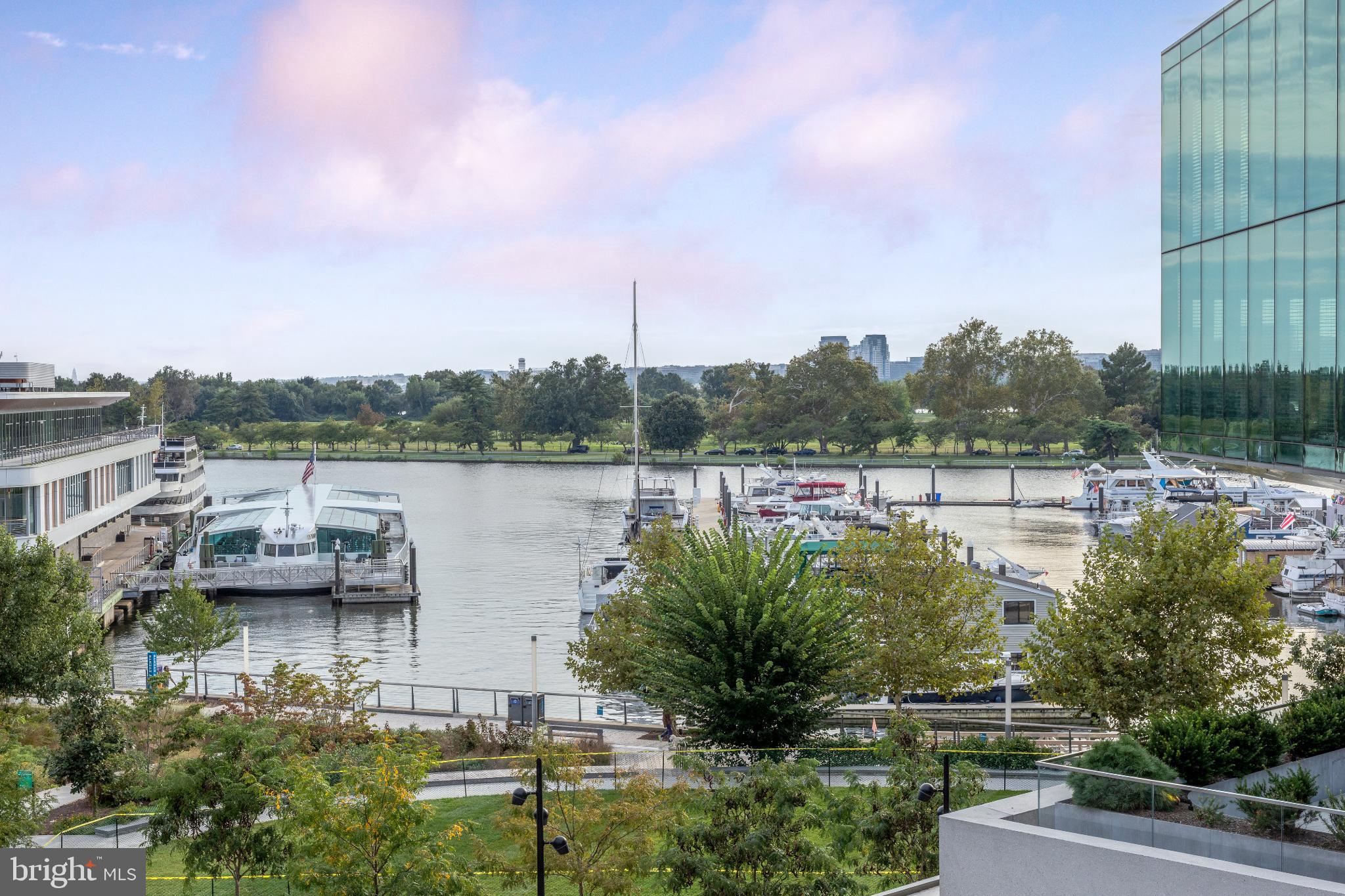 525 Water Street Southwest, Unit 403 Washington, DC 20024 - Photo 21 of 35 a view of lake with boats and trees