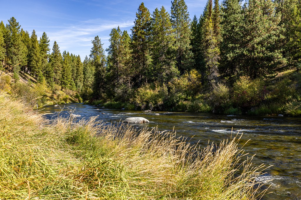 Deinhard-boydstun Connect McCall, ID 83638 - Photo 14 of 18
