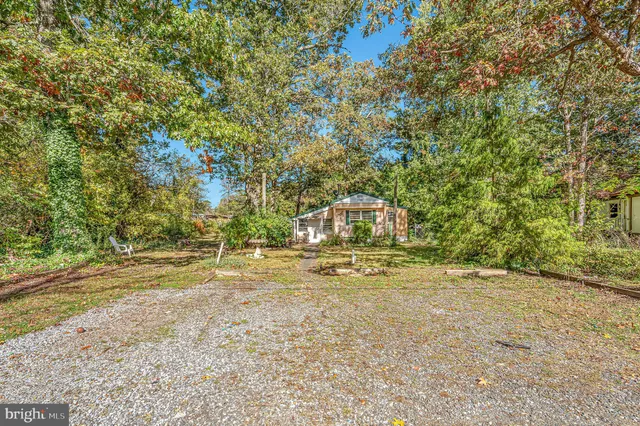 a view of a yard with a trees