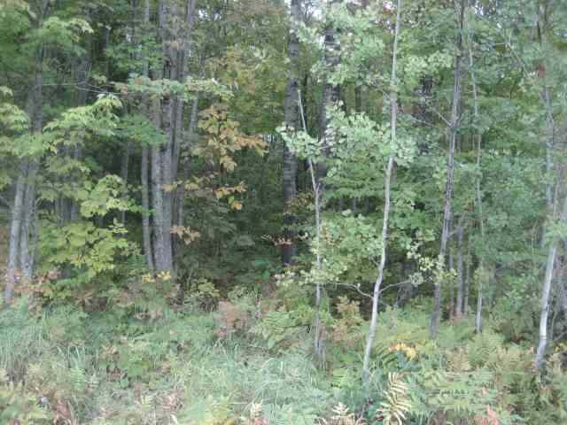 Tbd Conhartoski Road Hurley, WI 54534 - Photo 6 of 12 Gallery Image 6