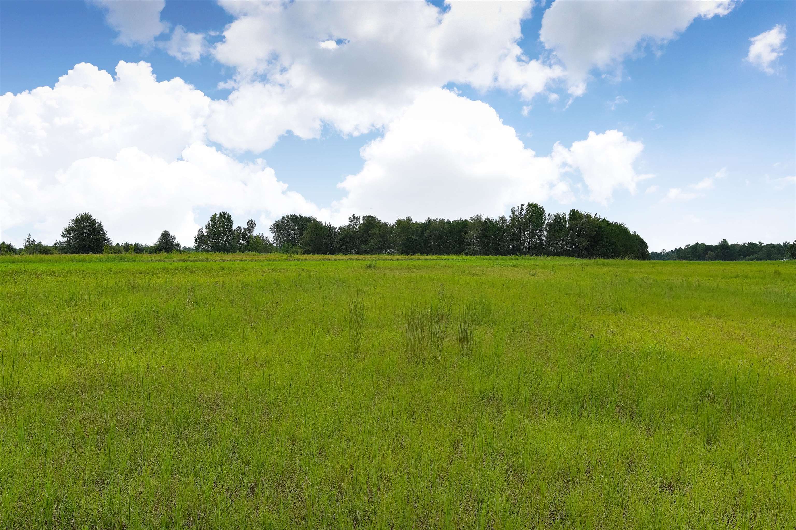 1147 Mack Pond Road Atmore, AL 36502 - Photo 20 of 40 View of nature featuring a rural view