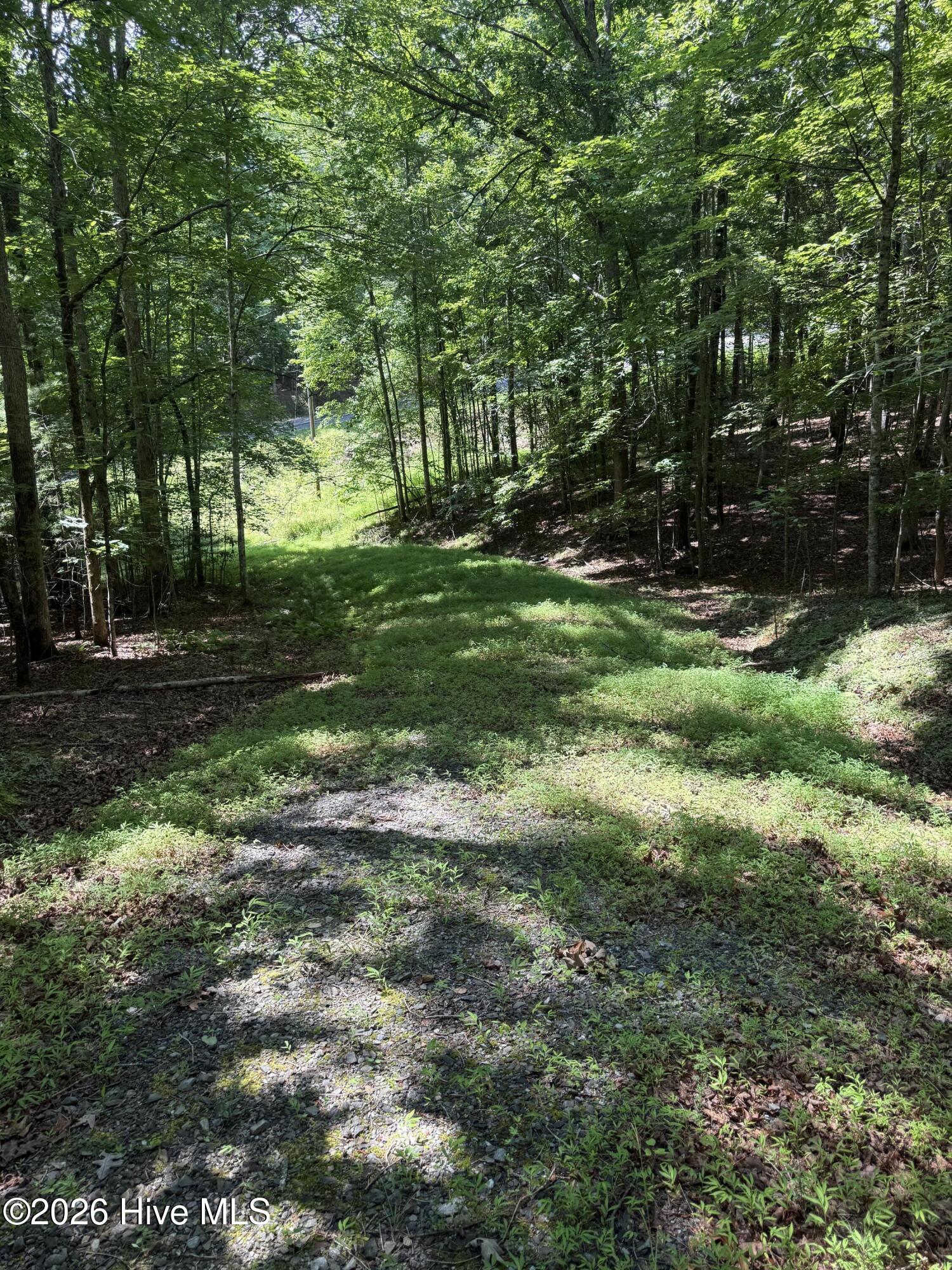 1 Friendship Church Road Murphy, NC 28906 - Photo 3 of 8
