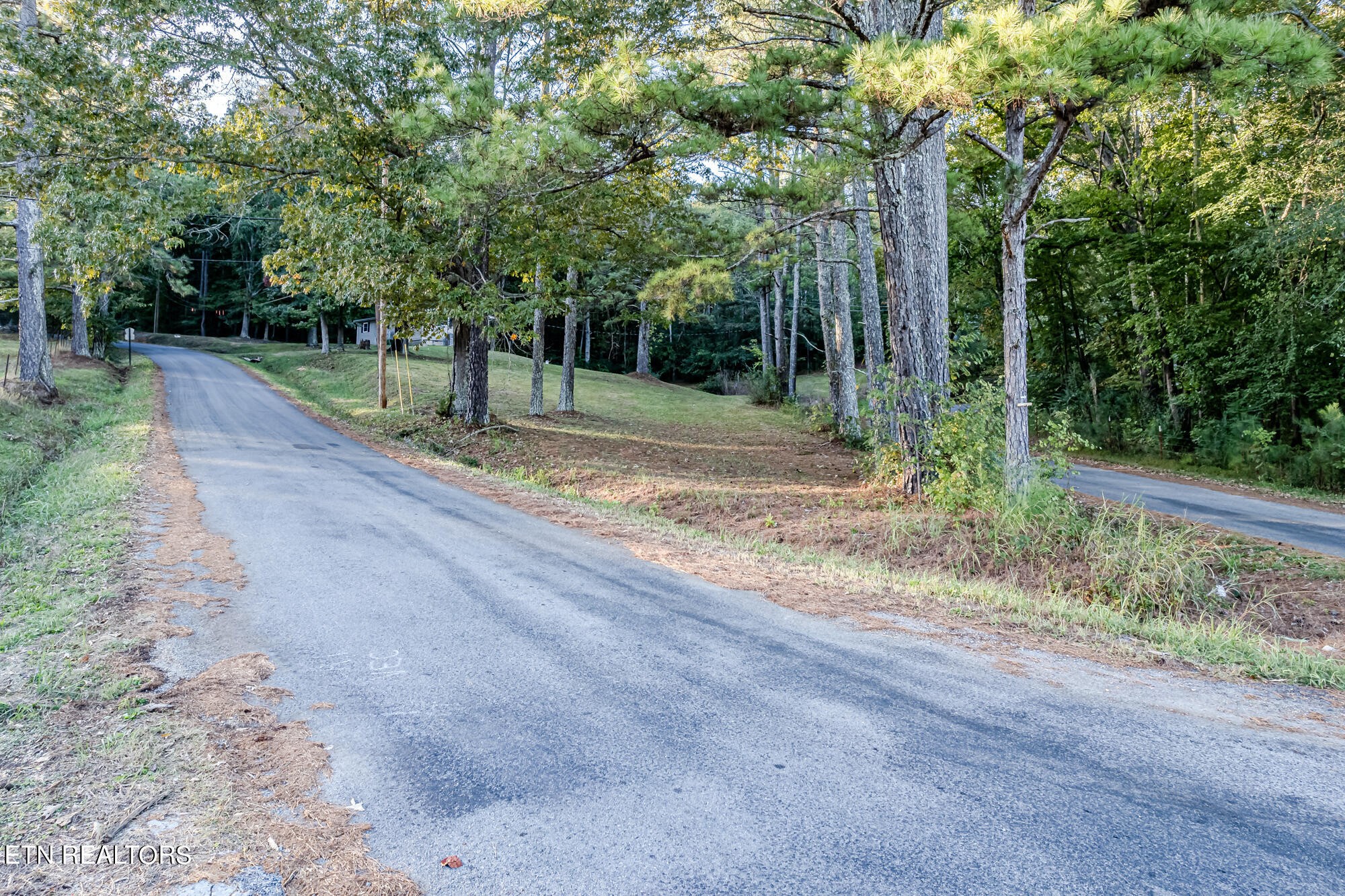 118 County Road 182 Decatur, TN 37322 - Photo 5 of 27 a view of a yard with plants and trees