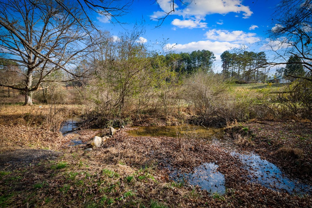 1779 Madola Road Epworth, GA 30541 - Photo 68 of 79