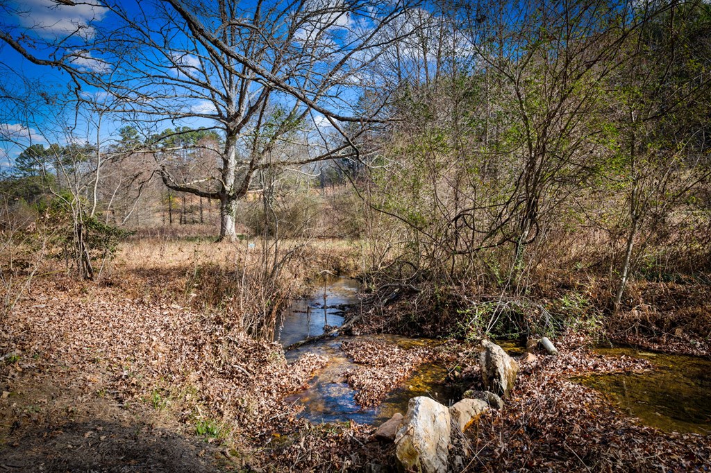 1779 Madola Road Epworth, GA 30541 - Photo 69 of 79