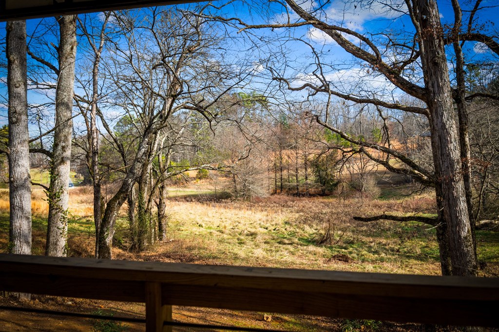 1779 Madola Road Epworth, GA 30541 - Photo 73 of 79