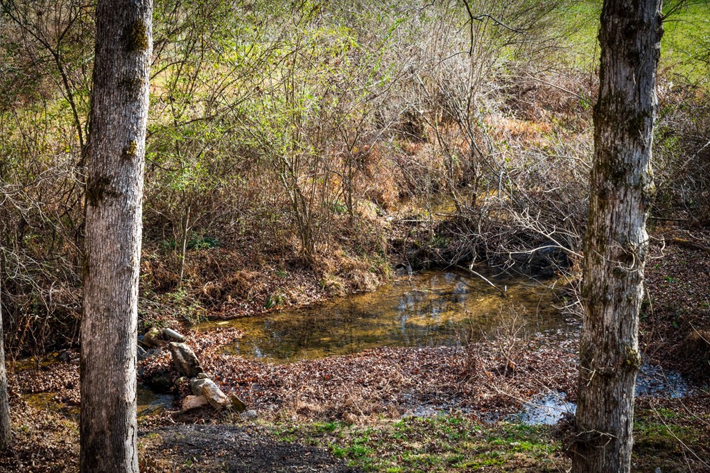 1779 Madola Road Epworth, GA 30541 - Photo 74 of 79