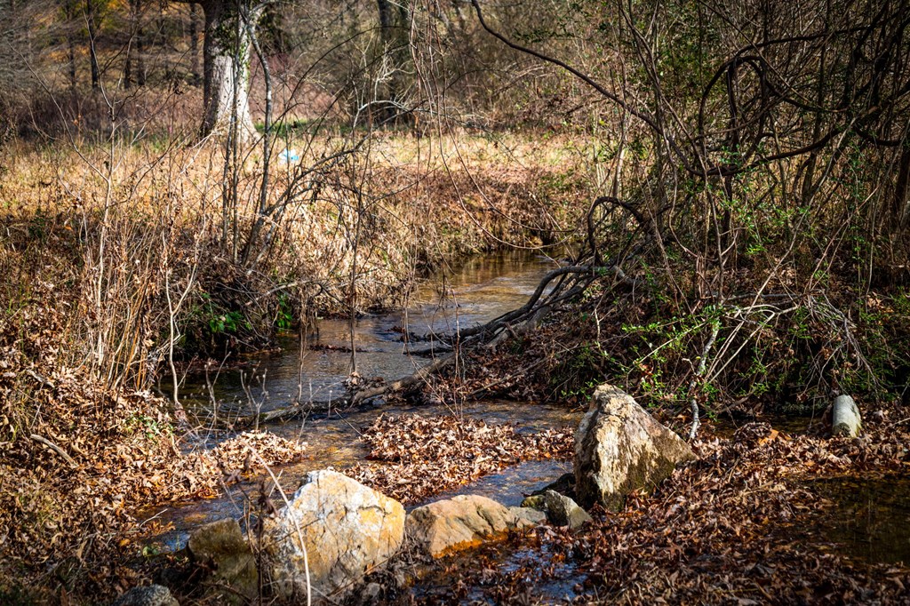 1779 Madola Road Epworth, GA 30541 - Photo 77 of 79