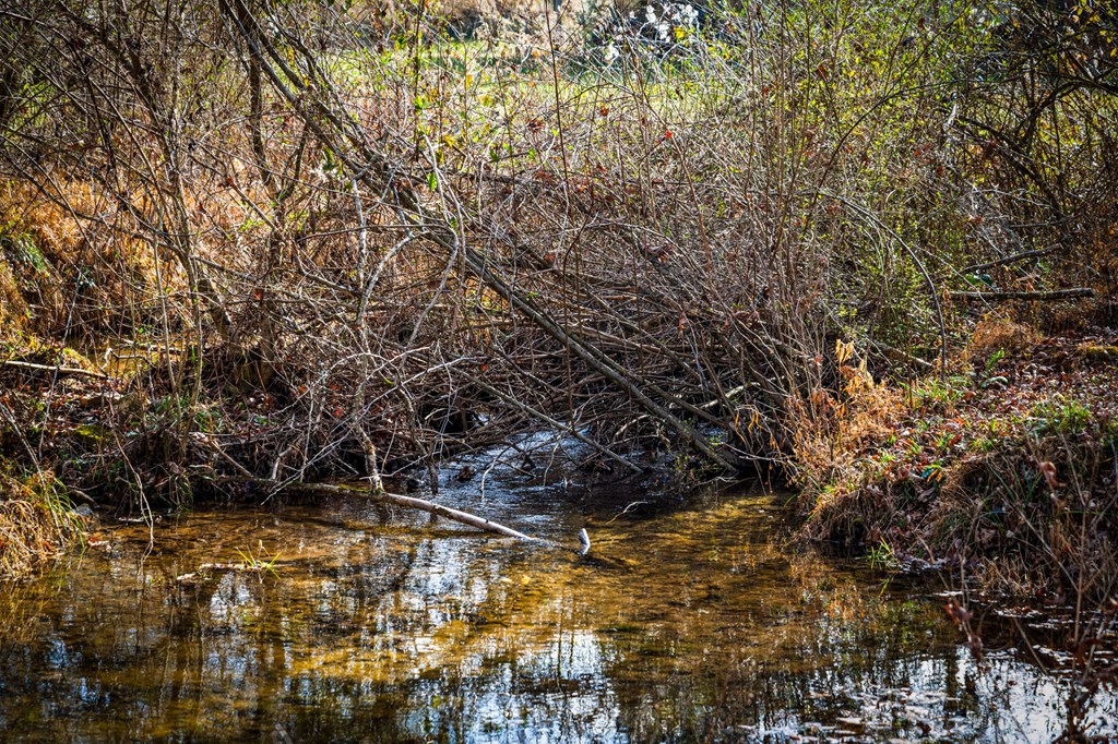 1779 Madola Road Epworth, GA 30541 - Photo 78 of 79